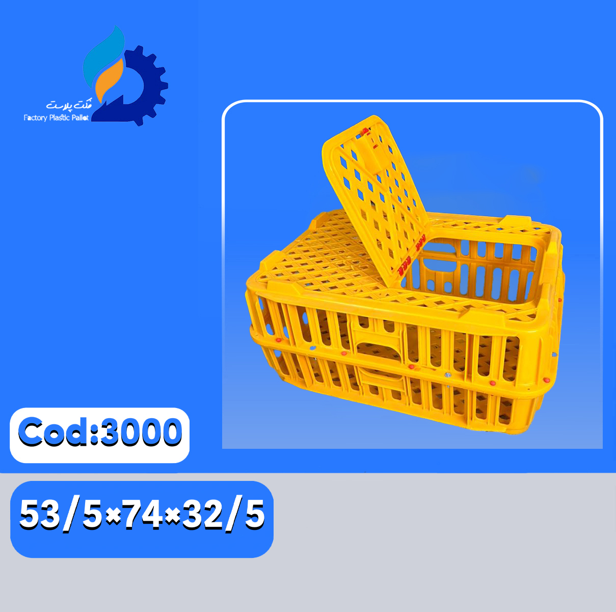 سبد کد 3000 سبد کد 3000