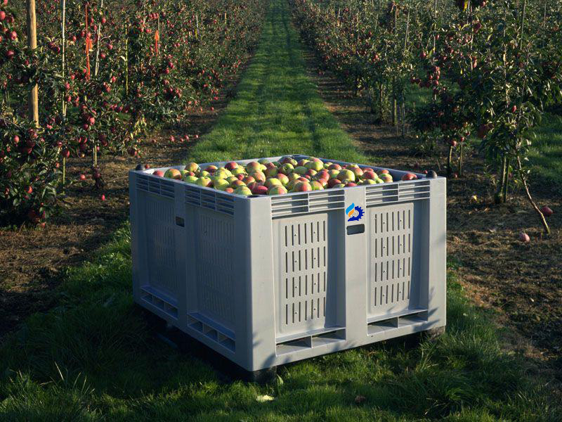 تصویر تصویر